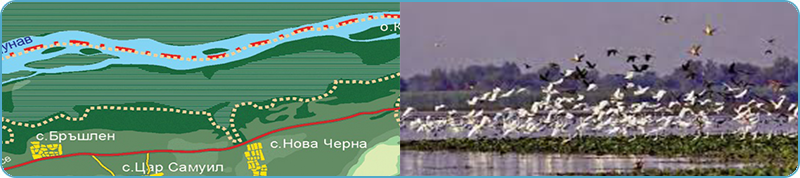 ✅ Къщата на Доктора за гости от Абрит 9407. За почивка или празник, за лов или риболов заповядайте в дом далеч от дома Ви в Дунавската равнина - vilabg.com, Абрит, община Крушари, област Добрич, п.к.9407.